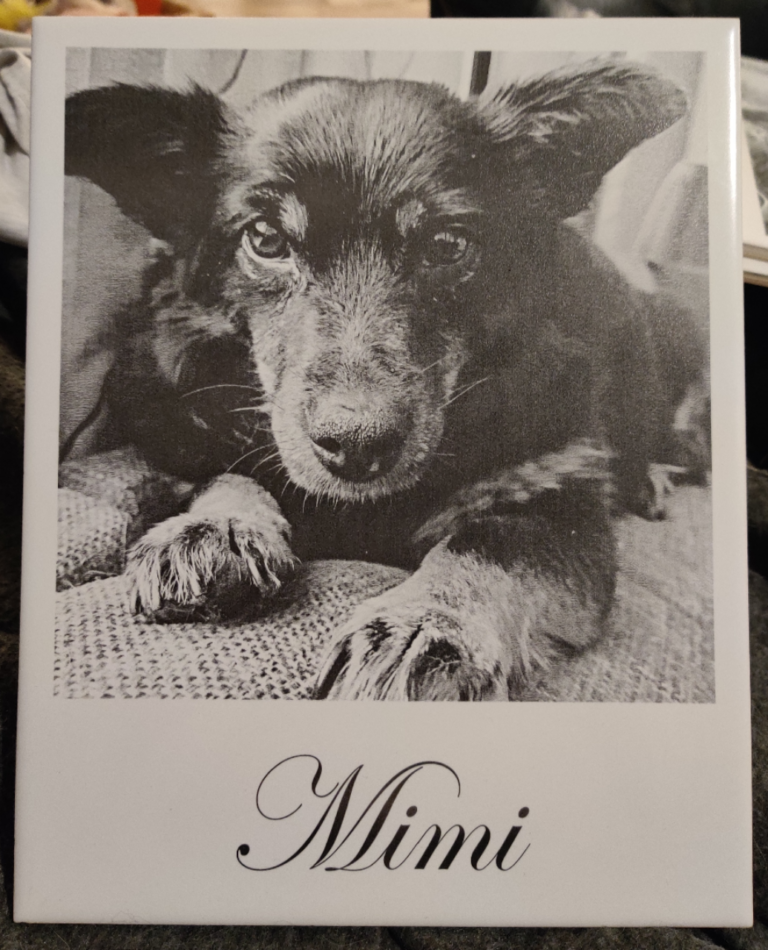 Mimi 200x250 (180x180)