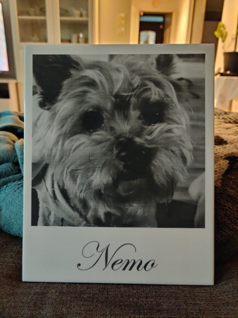 Nemo